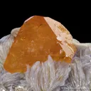 Scheelite on Muscovite - image 1