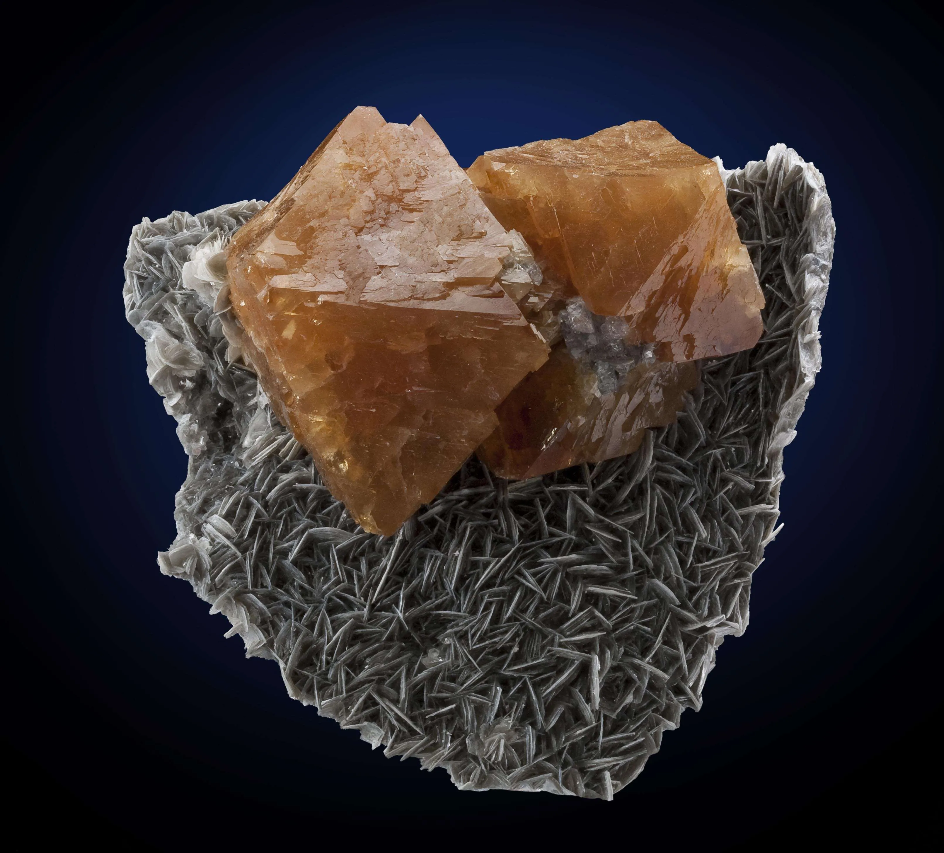 Scheelite on Muscovite - image 1