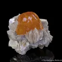 Scheelite on Muscovite - image 5