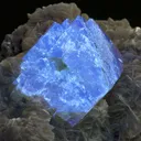 Scheelite on Muscovite - image 3