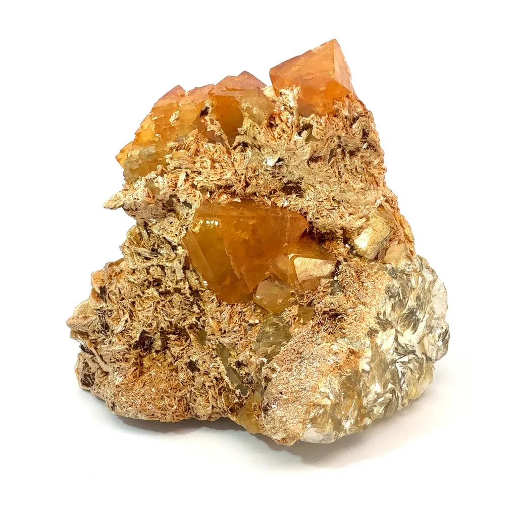 specimen video