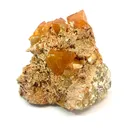 specimen video