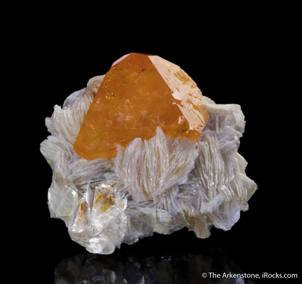 Scheelite on Muscovite - image 2