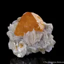 Scheelite on Muscovite - image 2