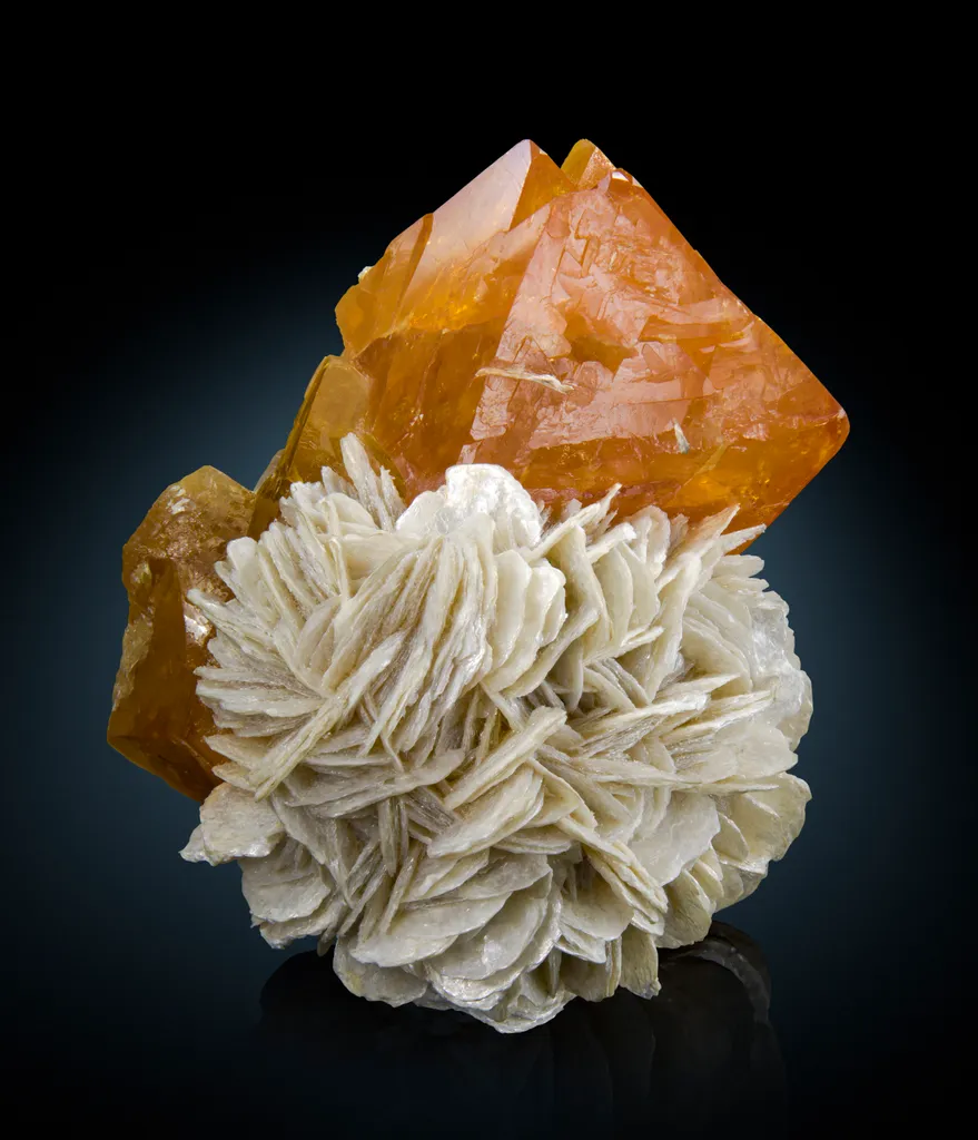 Scheelite on Muscovite image