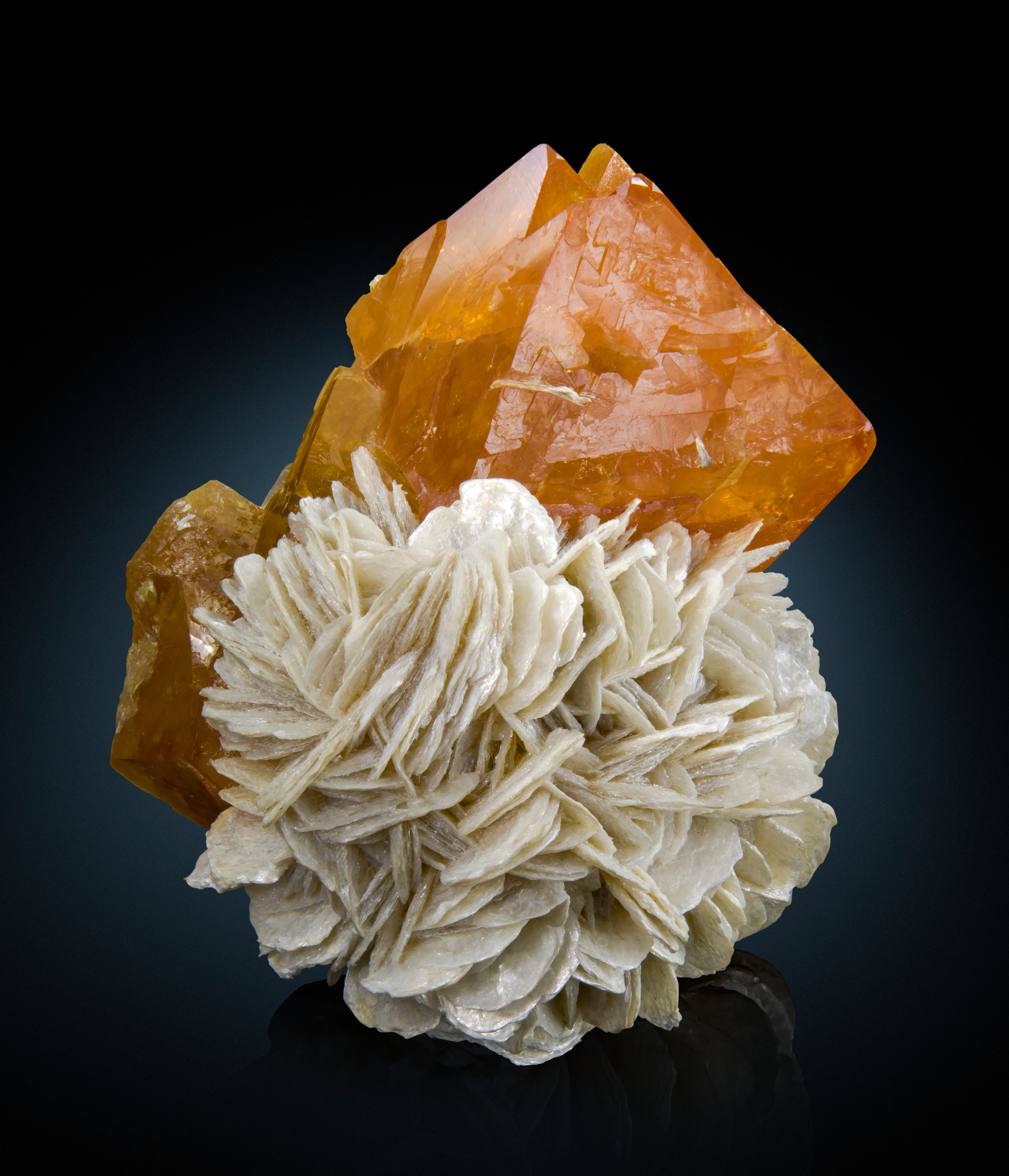 Scheelite on Muscovite - image 1