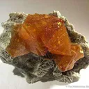 Scheelite on Muscovite - image 3