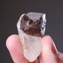 Scheelite on Quartz - image 2
