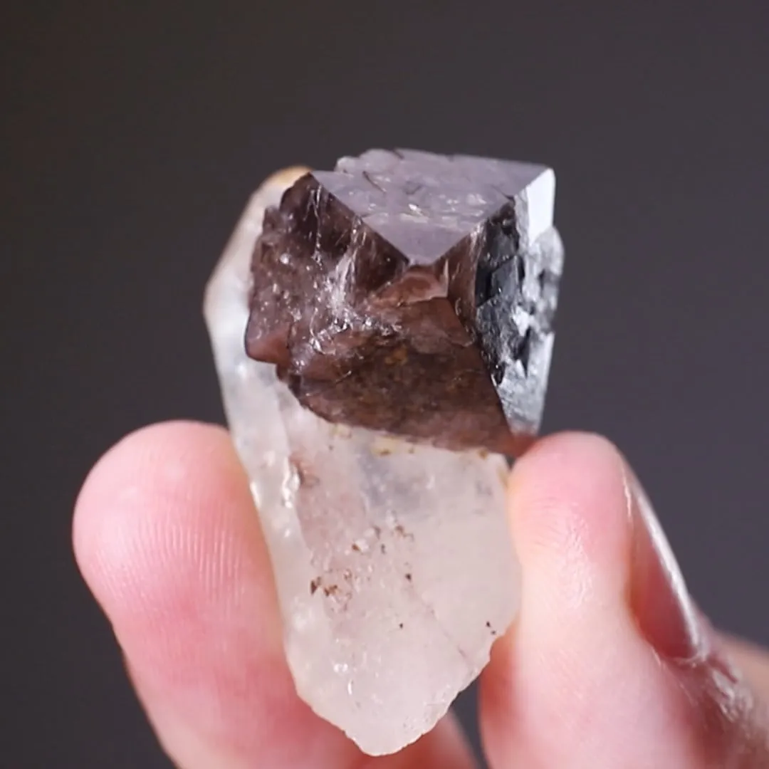 Scheelite on Quartz - image 2