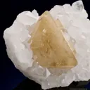 Scheelite on Quartz - image 3