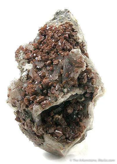 Scheelite on Quartz image