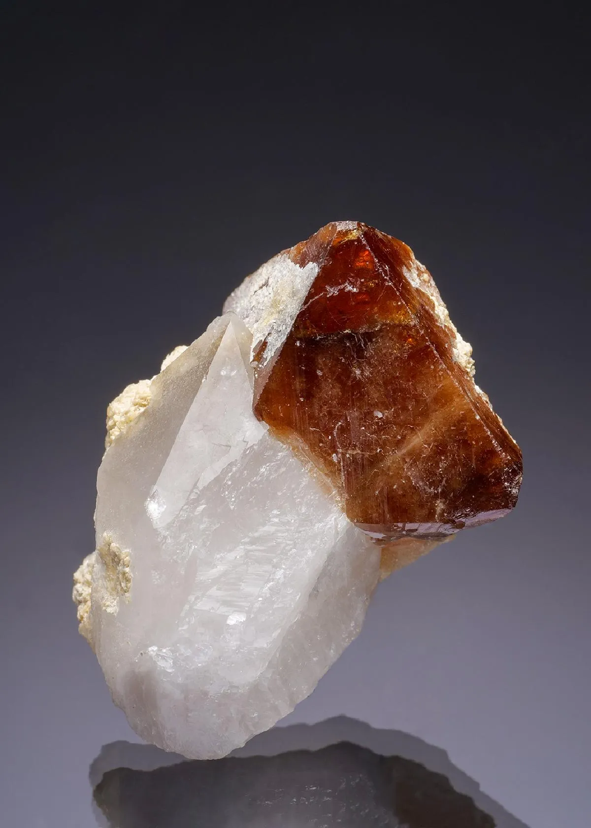 Scheelite on Quartz - image 1