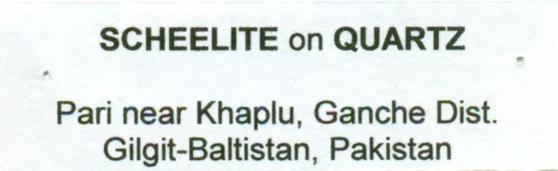 Scheelite on Quartz - image 8