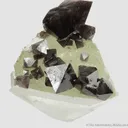 Scheelite on Quartz - image 3