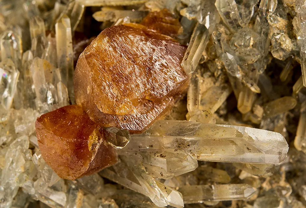 Scheelite on Quartz - image 3
