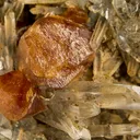Scheelite on Quartz - image 3