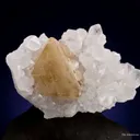 Scheelite on Quartz - image 1