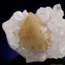 Scheelite on Quartz - image 2