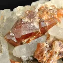 Scheelite on Quartz - image 2