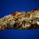 Scheelite on Quartz - image 6