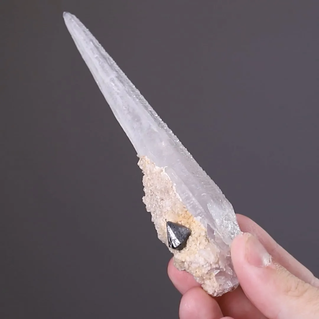 Scheelite on Quartz - image 2