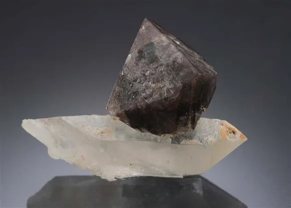 Scheelite on Quartz image