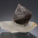 Scheelite on Quartz - image 1