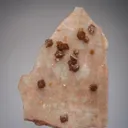 Scheelite on Quartz - image 1