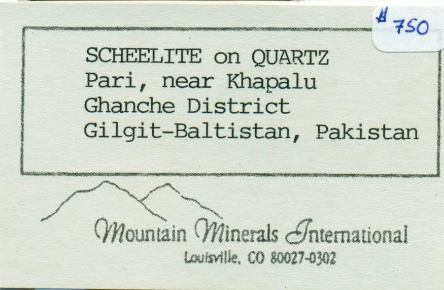 Scheelite on Quartz - image 7