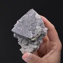 Scheelite on Quartz - image 2