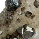 Scheelite on Quartz - image 2