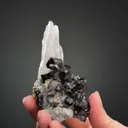 Scheelite on Quartz and Chalcopyrite - image 2