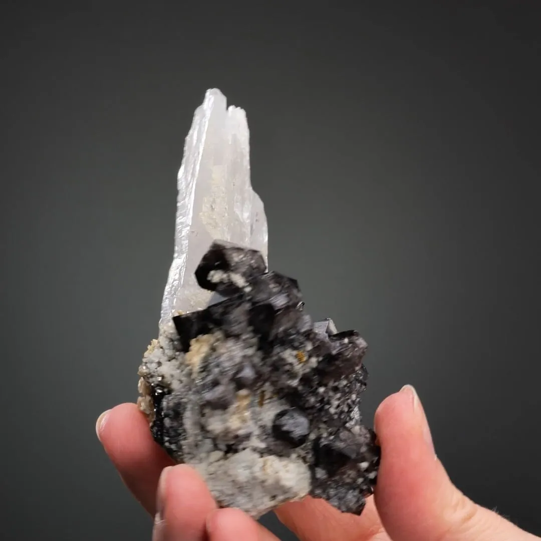 Scheelite on Quartz and Chalcopyrite - image 2