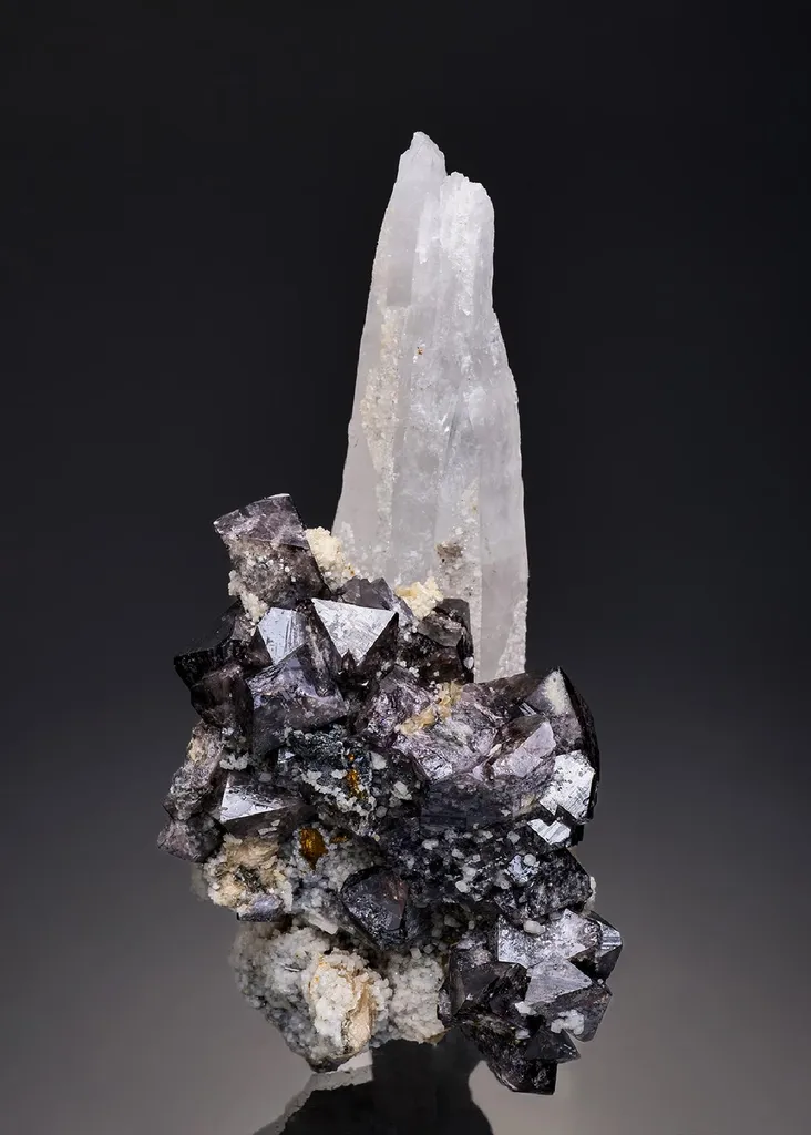 Scheelite on Quartz and Chalcopyrite image