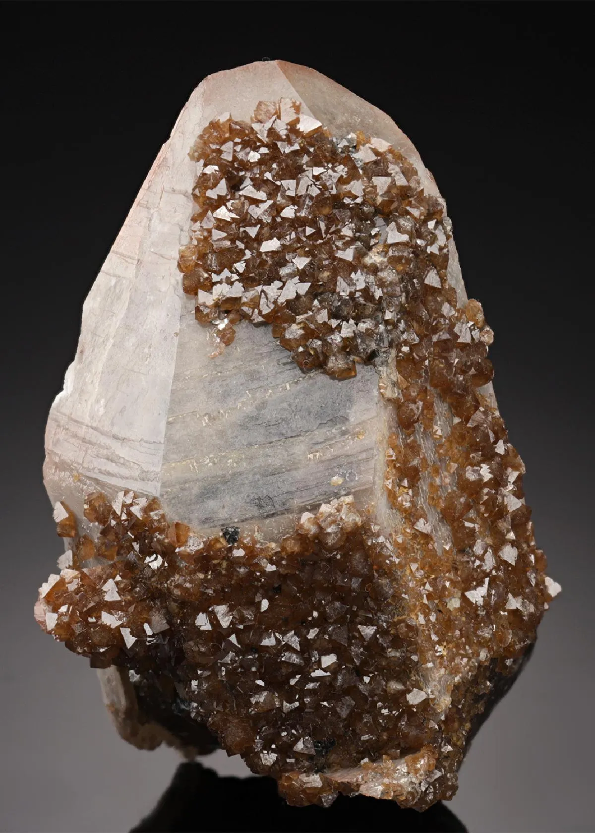 Scheelite on Quartz - image 1