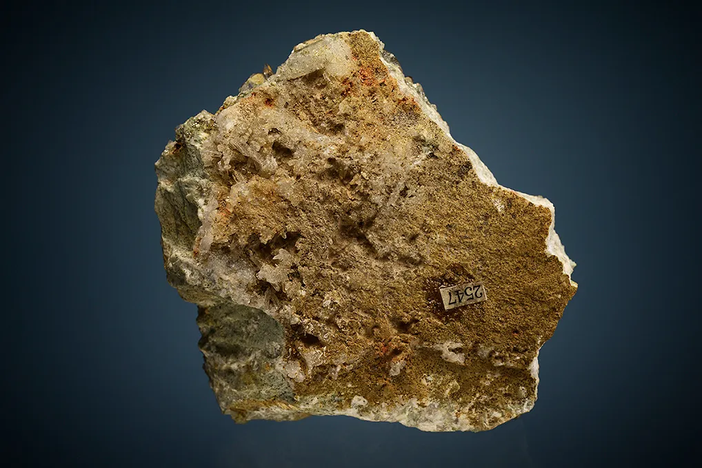 Scheelite on Quartz - image 4