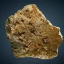 Scheelite on Quartz - image 4