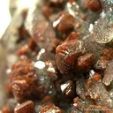 Scheelite on Quartz - image 2