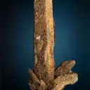 Scheelite on Quartz - image 3