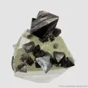 Scheelite on Quartz - image 1