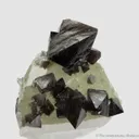 Scheelite on Quartz - image 2