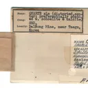 Scheelite on Quartz - image 6