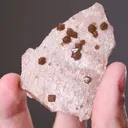 Scheelite on Quartz - image 2