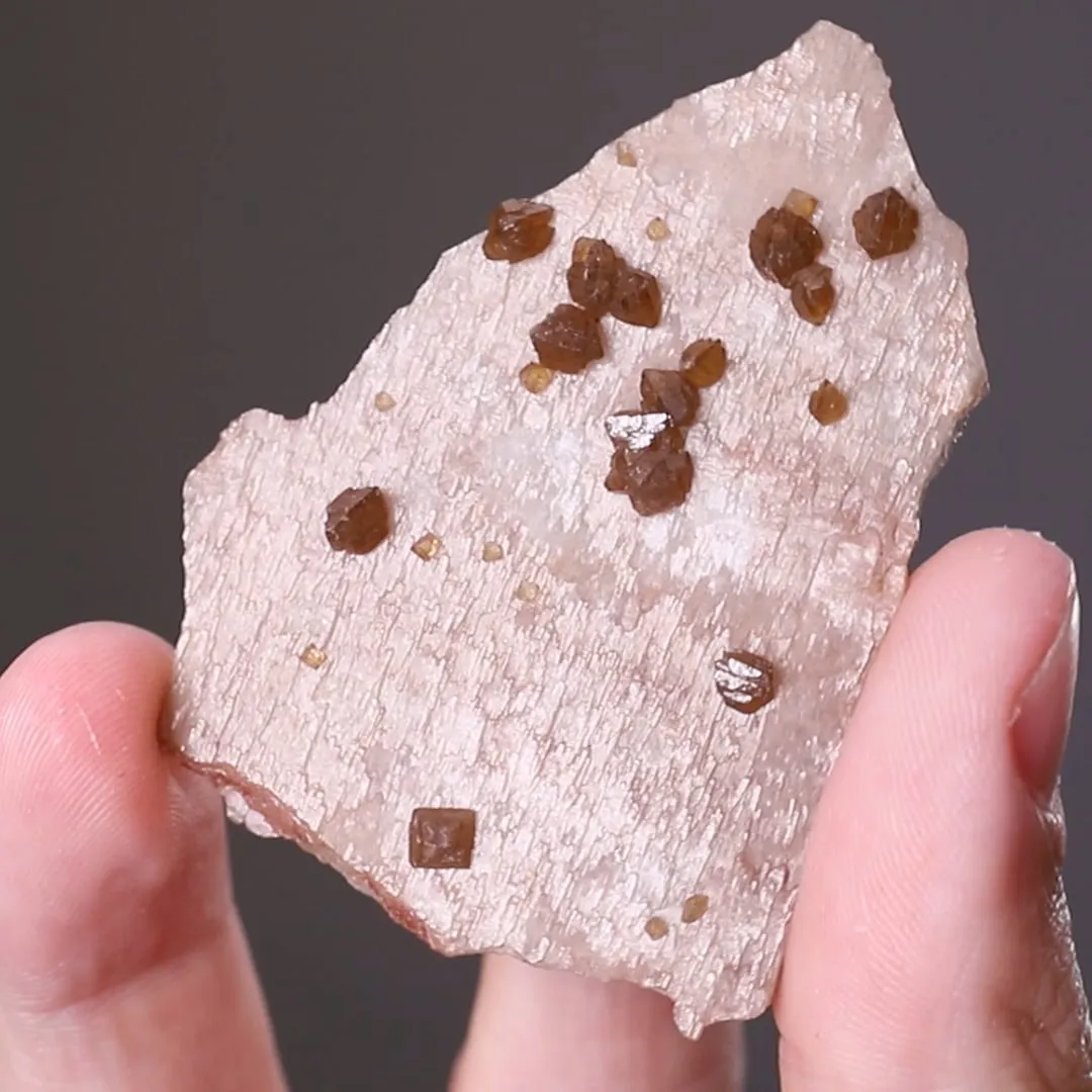 Scheelite on Quartz - image 2