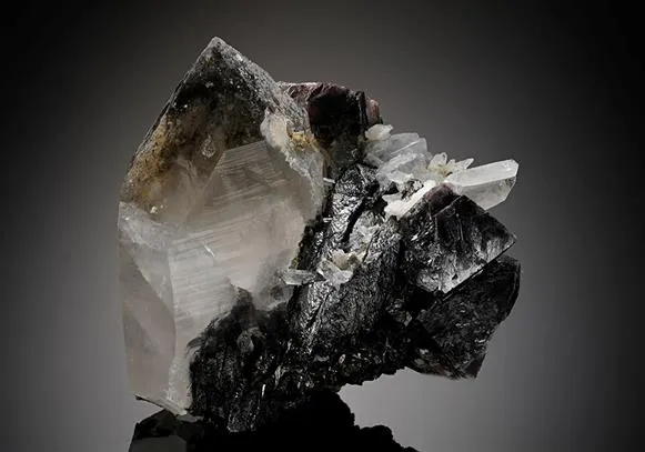 Scheelite on Wolframite and Quartz image