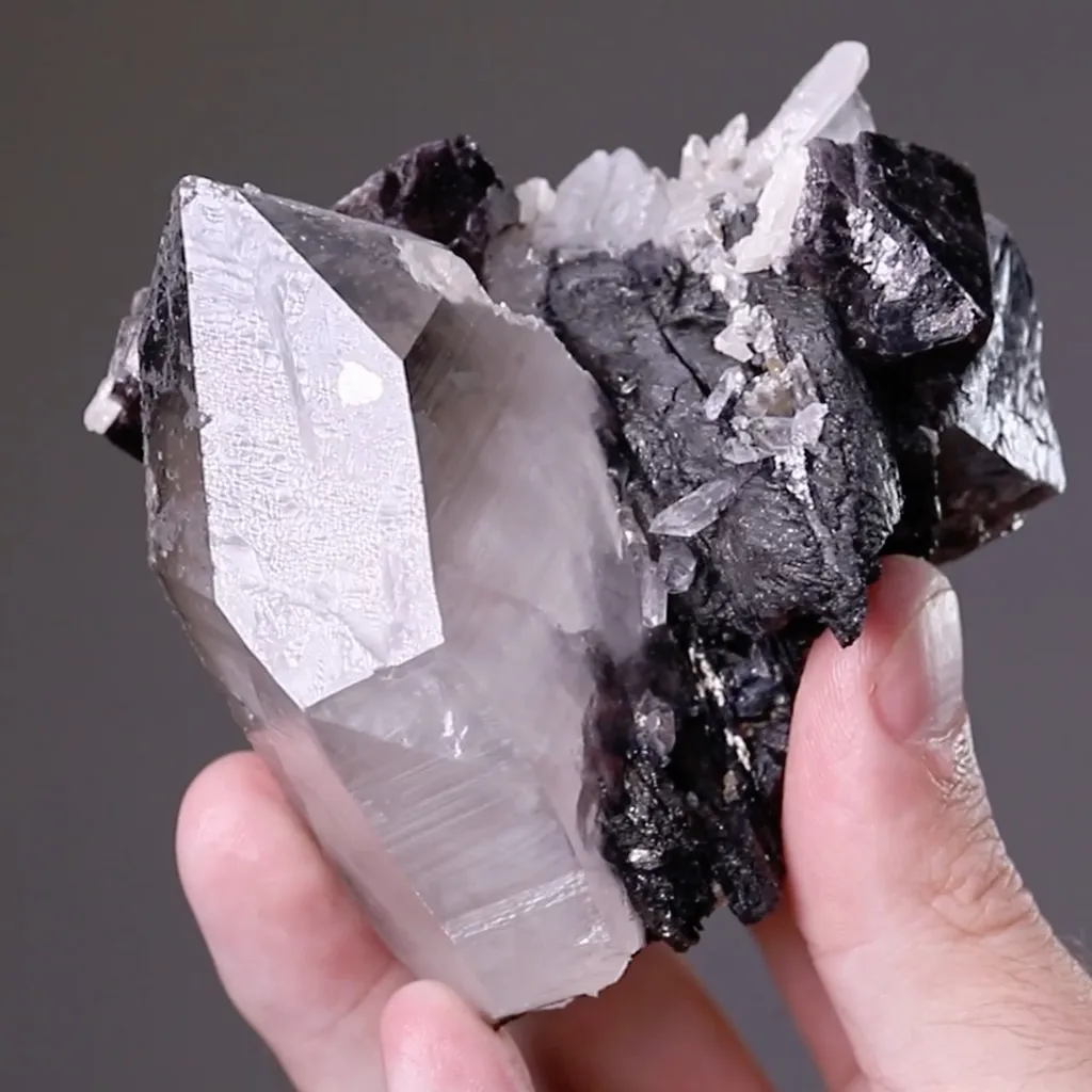 Scheelite on Wolframite and Quartz - image 2