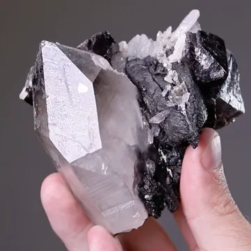 Scheelite on Wolframite and Quartz