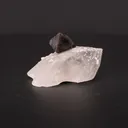 Scheelite, Quartz - image 3