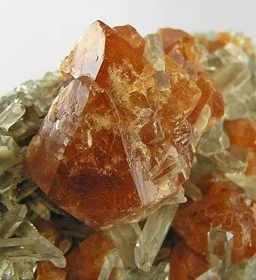 Scheelite, Quartz - image 2