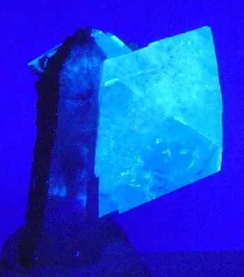 Scheelite, Quartz - image 2